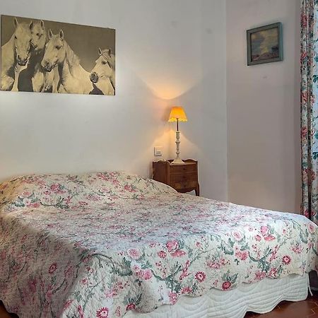 Mas De Charme En Pleine Camargue Villa แซ็ง จิลส์ ภายนอก รูปภาพ