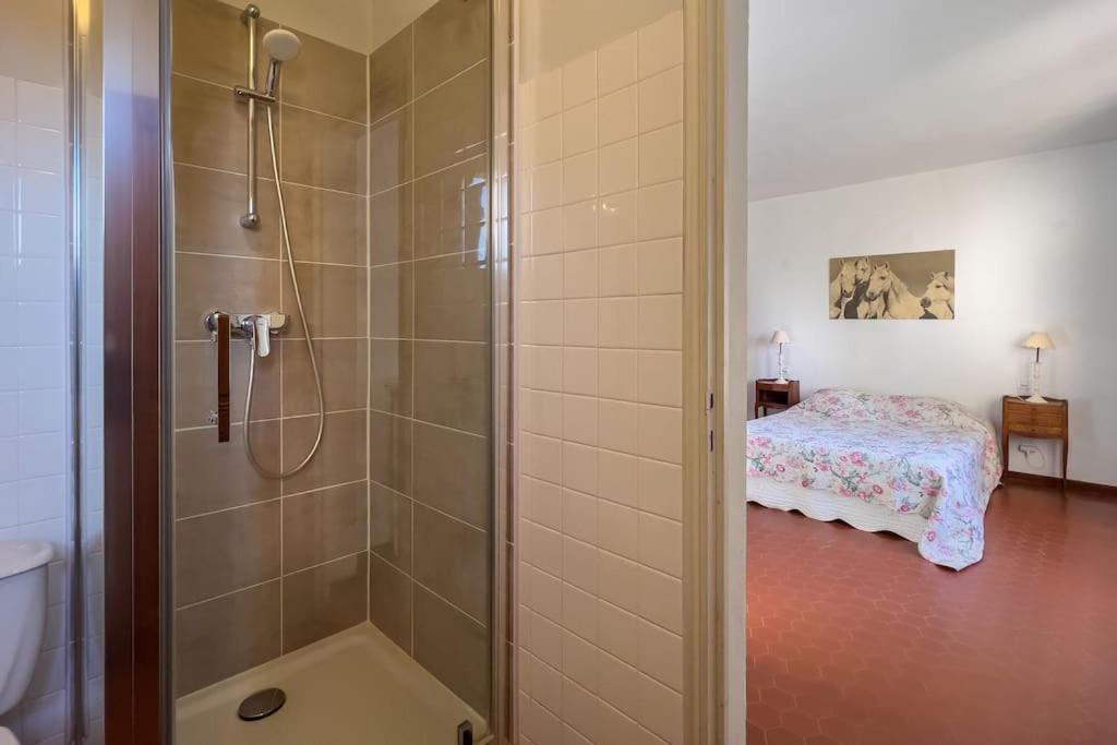 Mas De Charme En Pleine Camargue Villa แซ็ง จิลส์ ภายนอก รูปภาพ