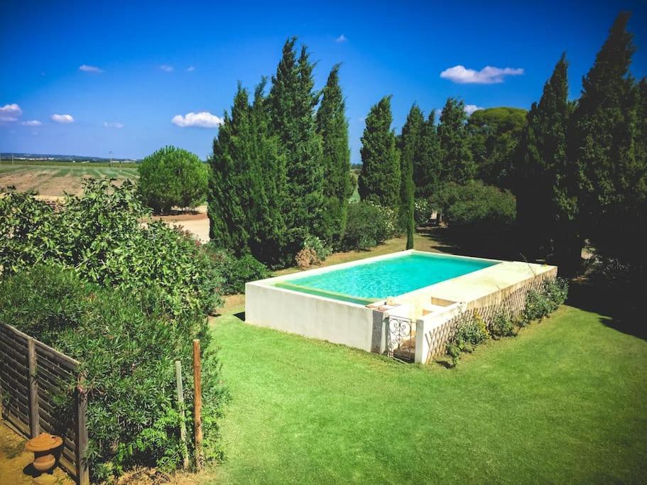 Mas De Charme En Pleine Camargue Villa แซ็ง จิลส์ ภายนอก รูปภาพ
