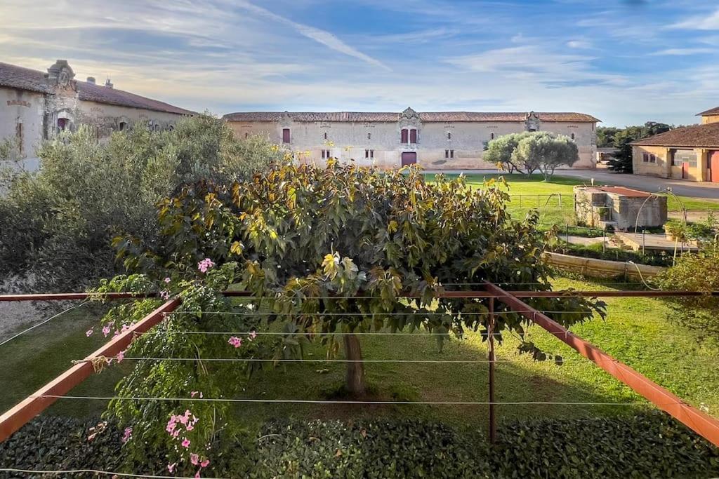 Mas De Charme En Pleine Camargue Villa แซ็ง จิลส์ ภายนอก รูปภาพ